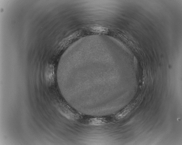 X0000087640320200705181532