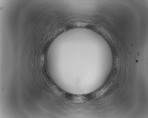 X0000087640321200705181532