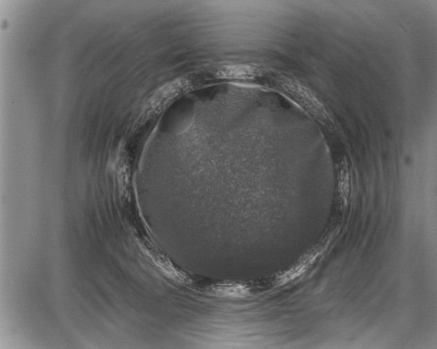 X0000087640322200705181532