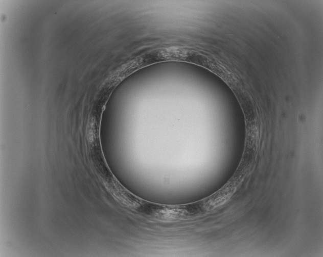 X0000087640323200705181532