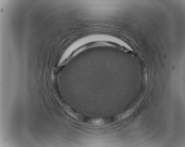 X0000087640325200705181532