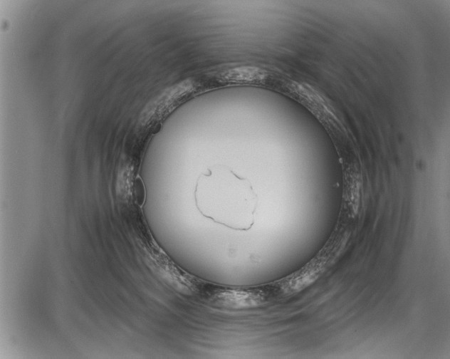 X0000087640326200705181532