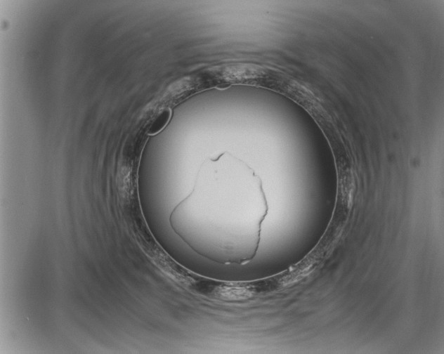 X0000087640327200705181532