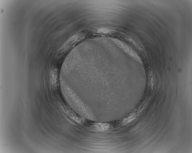 X0000087640328200705181532