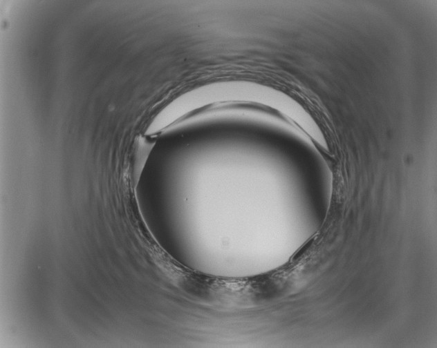 X0000087640329200705181532