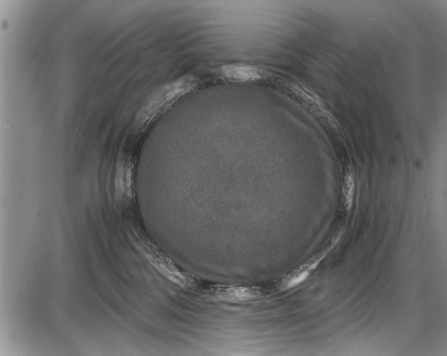 X0000087640330200705181532