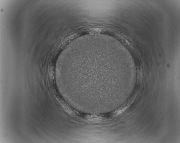 X0000087640331200705181532