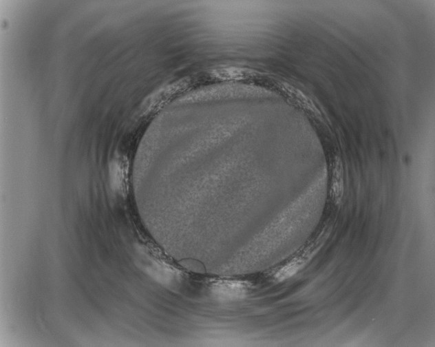 X0000087640332200705181532