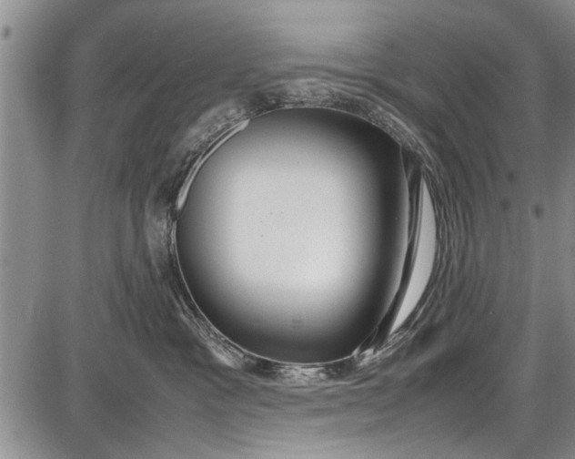 X0000087640333200705181532