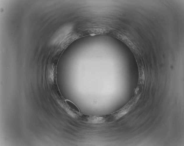 X0000087640334200705181532