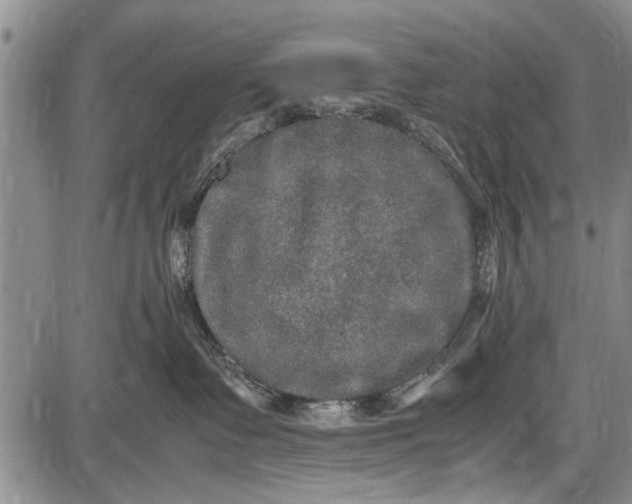 X0000087640335200705181532