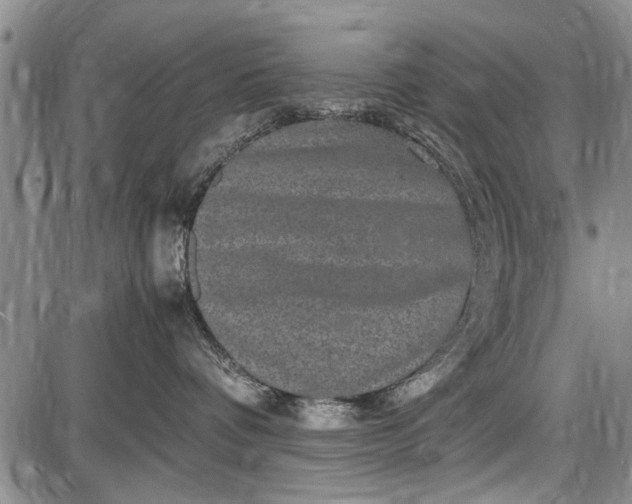 X0000087640336200705181531