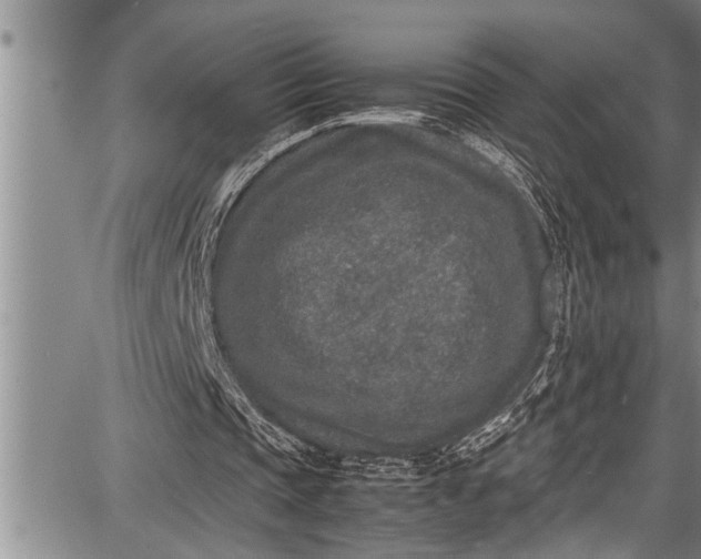 X0000087640337200705181531