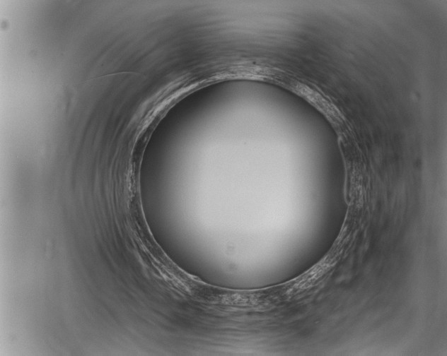 X0000087640338200705181531