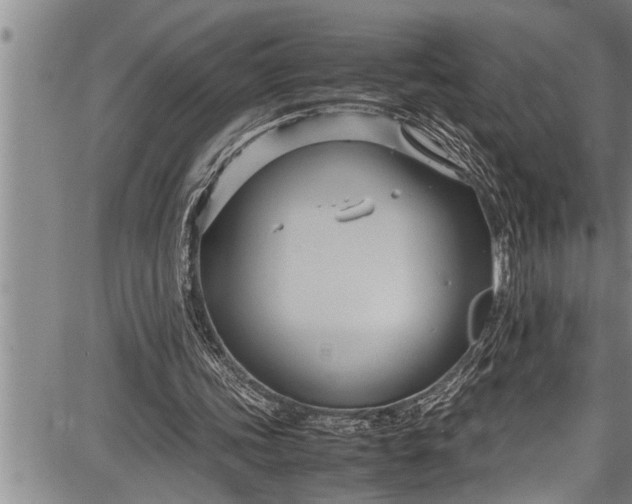 X0000087640339200705181531