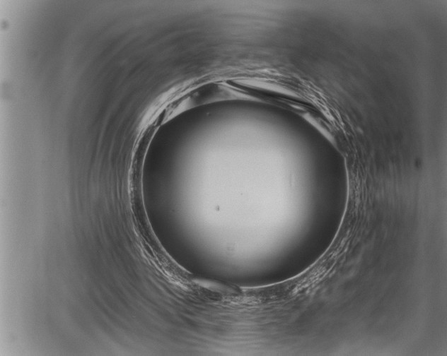 X0000087640340200705181531