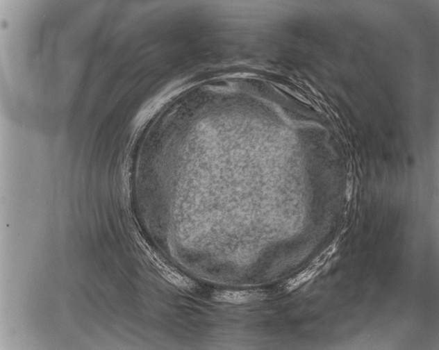 X0000087640341200705181531