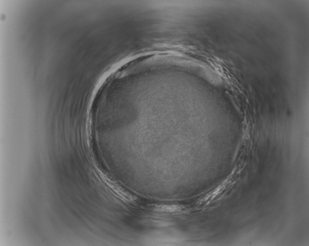 X0000087640342200705181531