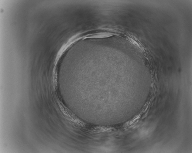 X0000087640343200705181531