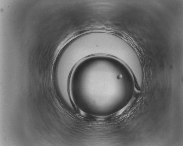 X0000087640344200705181531