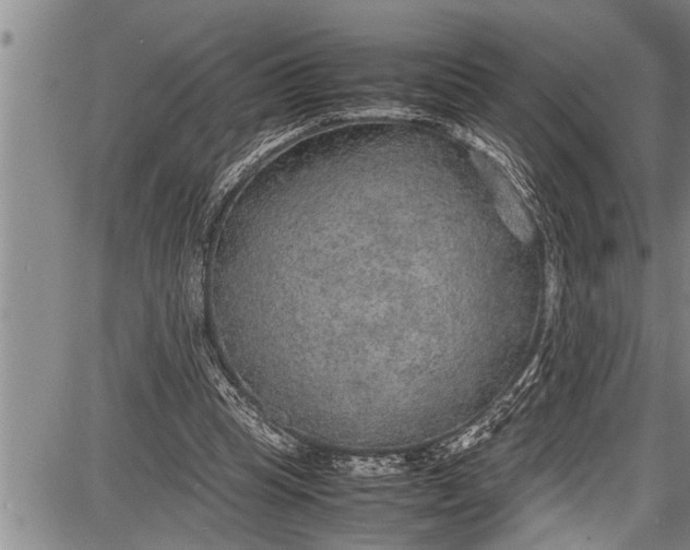 X0000087640345200705181531