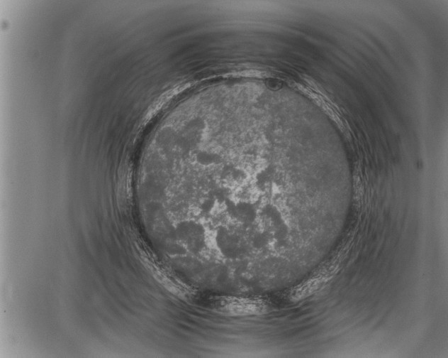 X0000087640347200705181531