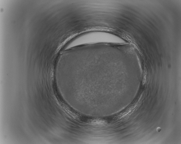 X0000087640348200705181531