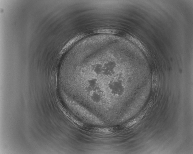 X0000087640349200705181531