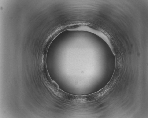 X0000087640350200705181531