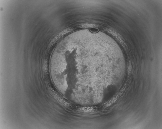 X0000087640353200705181531