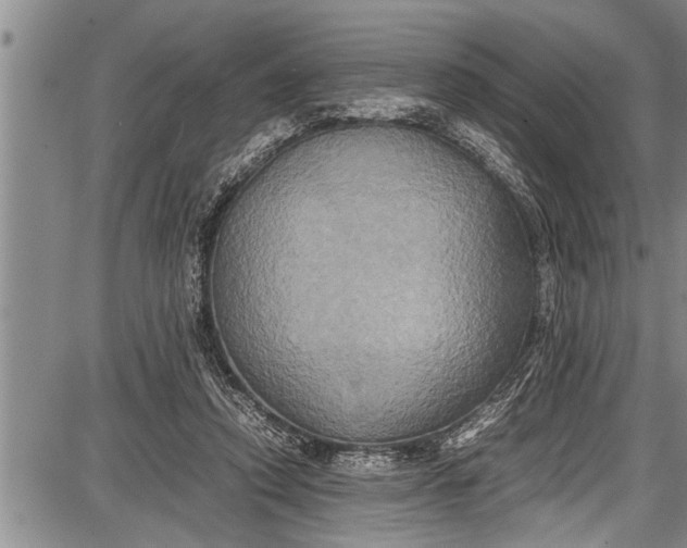 X0000087640354200705181531