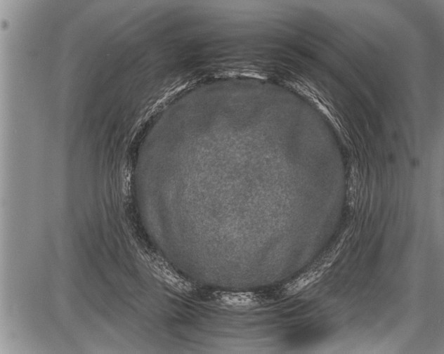 X0000087640355200705181531