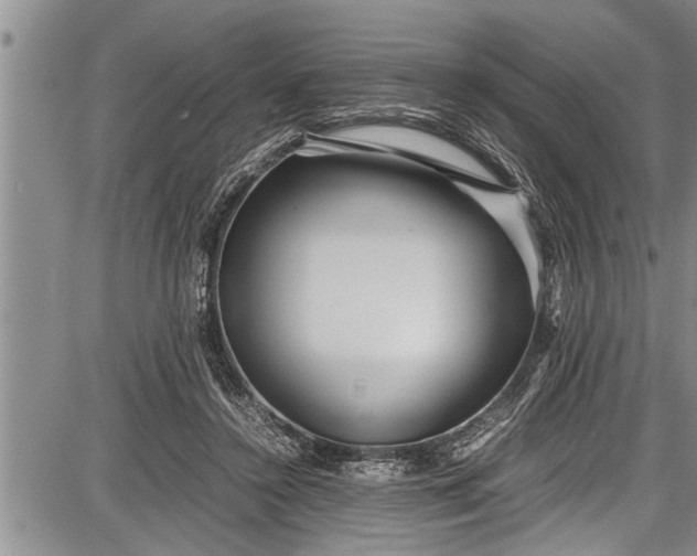 X0000087640356200705181531