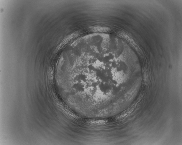 X0000087640357200705181531