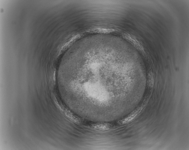 X0000087640358200705181531