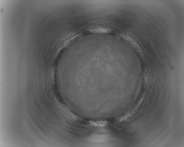 X0000087640359200705181531