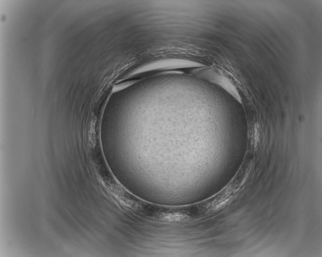 X0000087640360200705181531