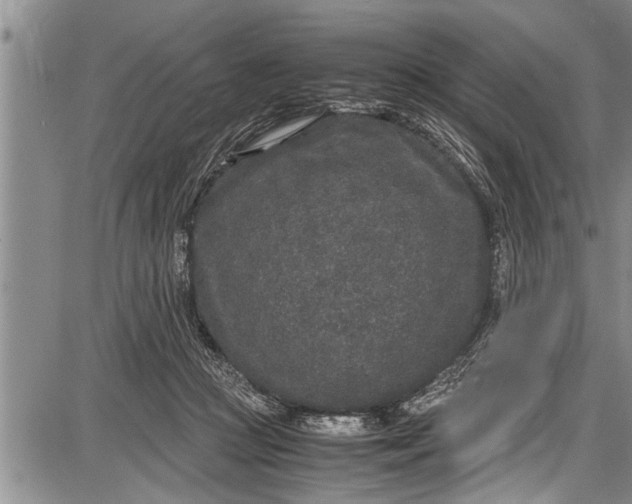 X0000087640361200705181531