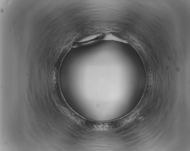 X0000087640362200705181531