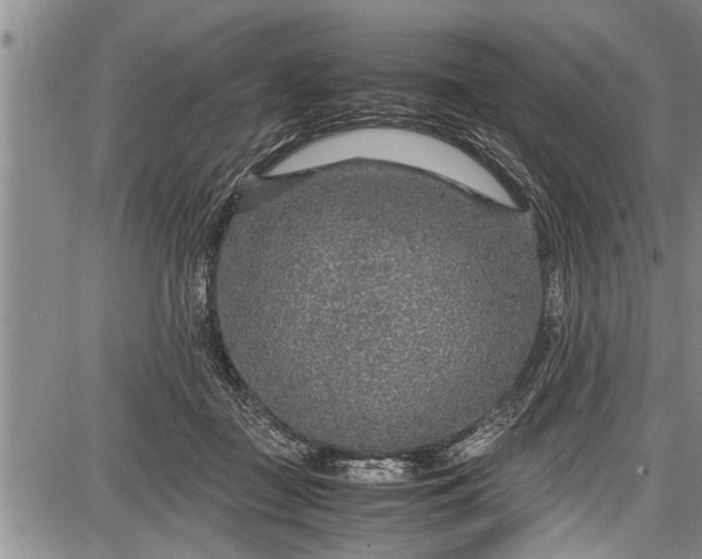 X0000087640363200705181531