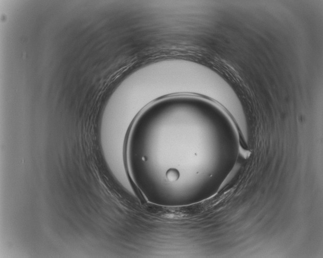 X0000087640364200705181531