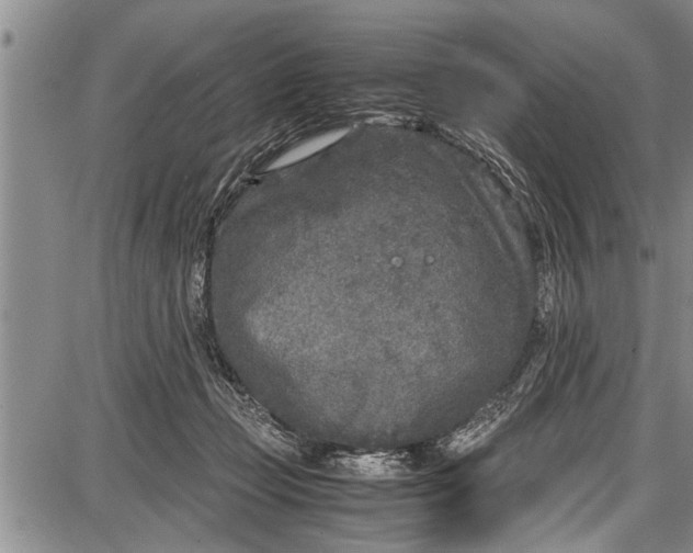 X0000087640365200705181531