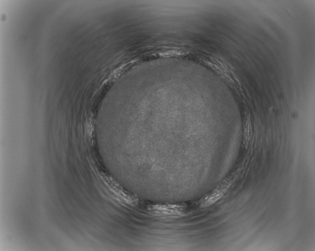 X0000087640367200705181531