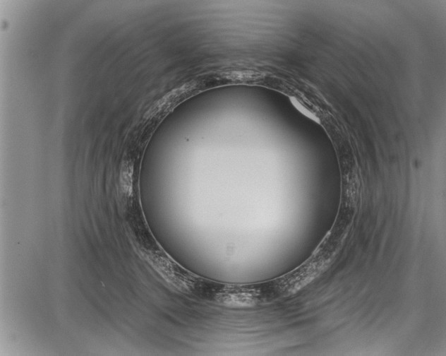 X0000087640368200705181531