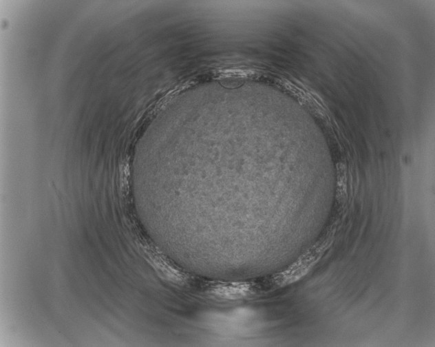 X0000087640369200705181531