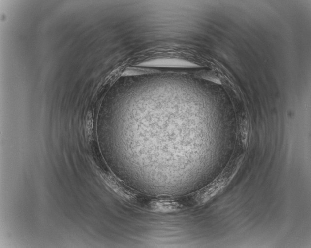 X0000087640372200705181531