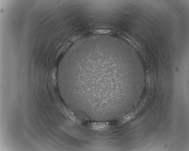 X0000087640373200705181531