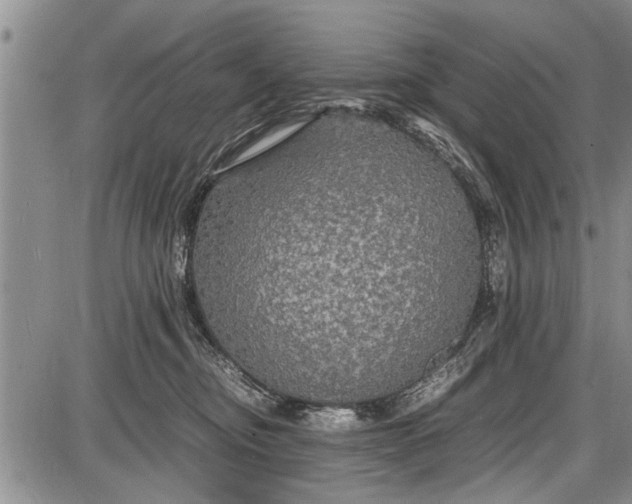 X0000087640374200705181531