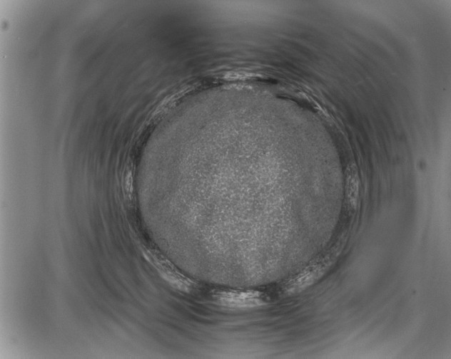 X0000087640375200705181531