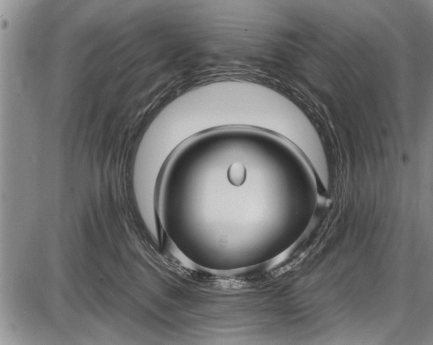 X0000087640376200705181531